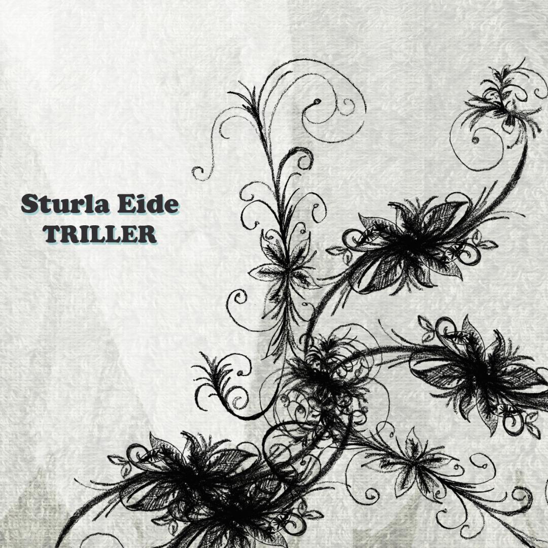 Sturla Eide / Triller