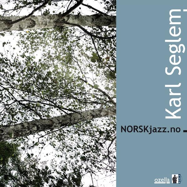 The front cover of Norskjazz.no, birch branches, shot from below. 