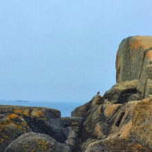 Bird on a mountain, and sea behind it